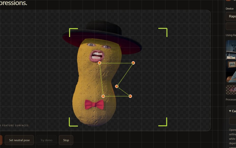 The NutCap peanut character with face tracking guides