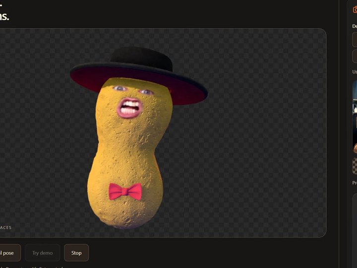 Starter Character preview